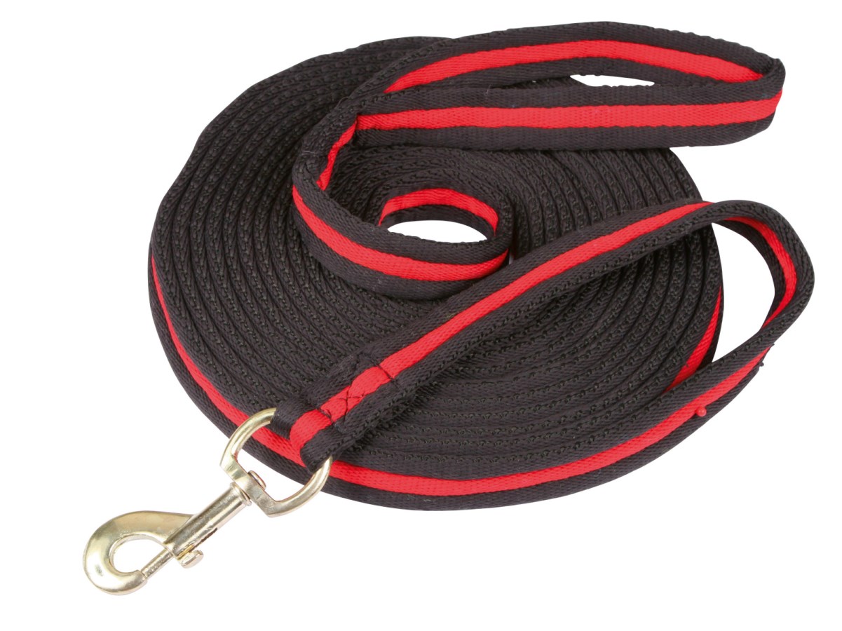 Longerlina, Covalliero Softlonge bild 2