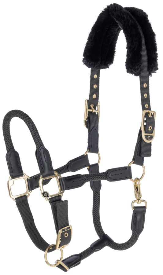 Nylongrimma, full, Covalliero Anniversary