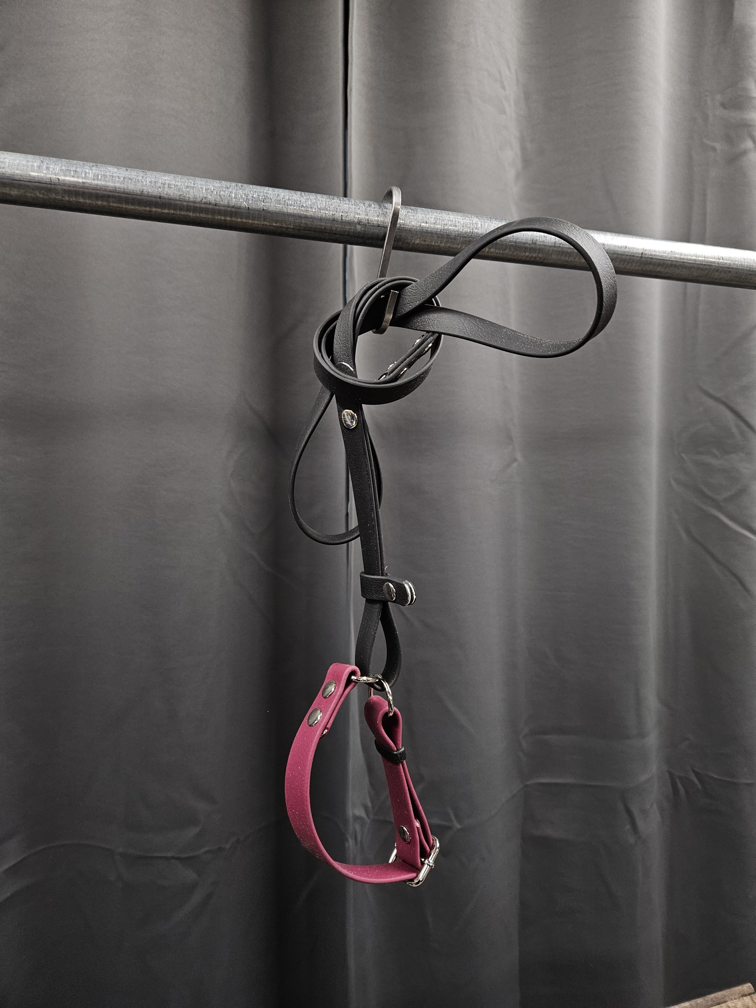 Halsband + koppel, 30 cm