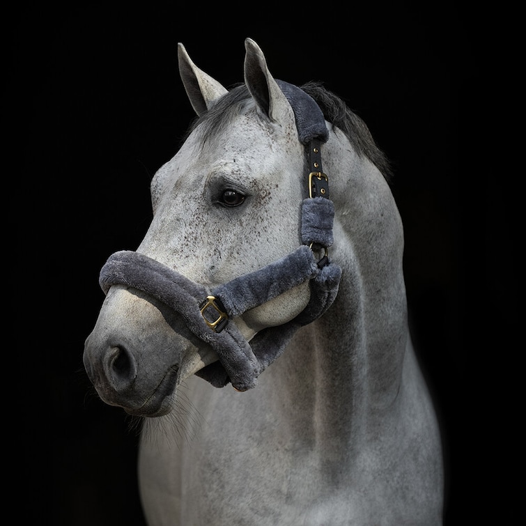 Luddgrimma, ponny-full, HS Faux Fur bild 2