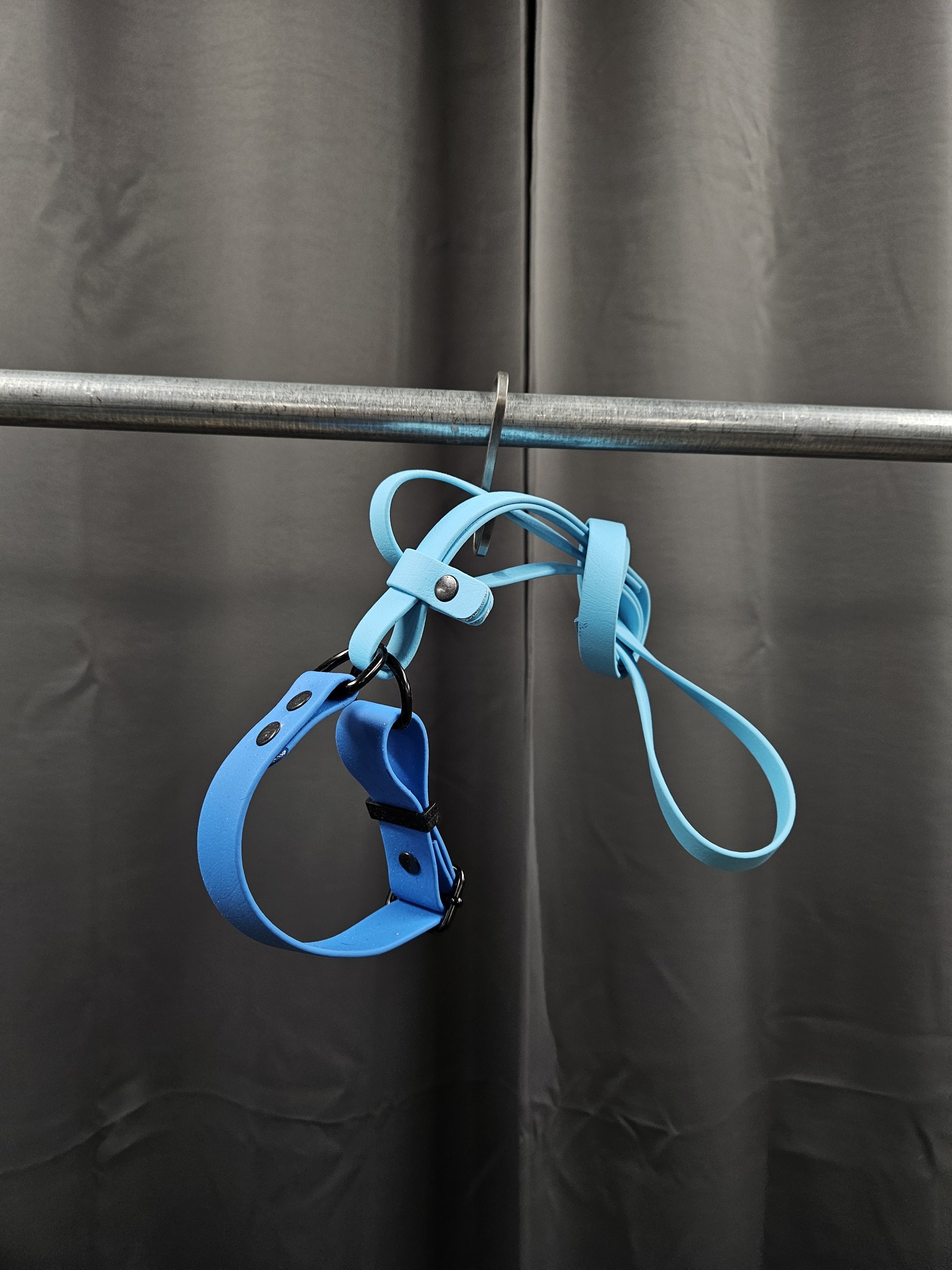 Halsband + koppel, 31 cm