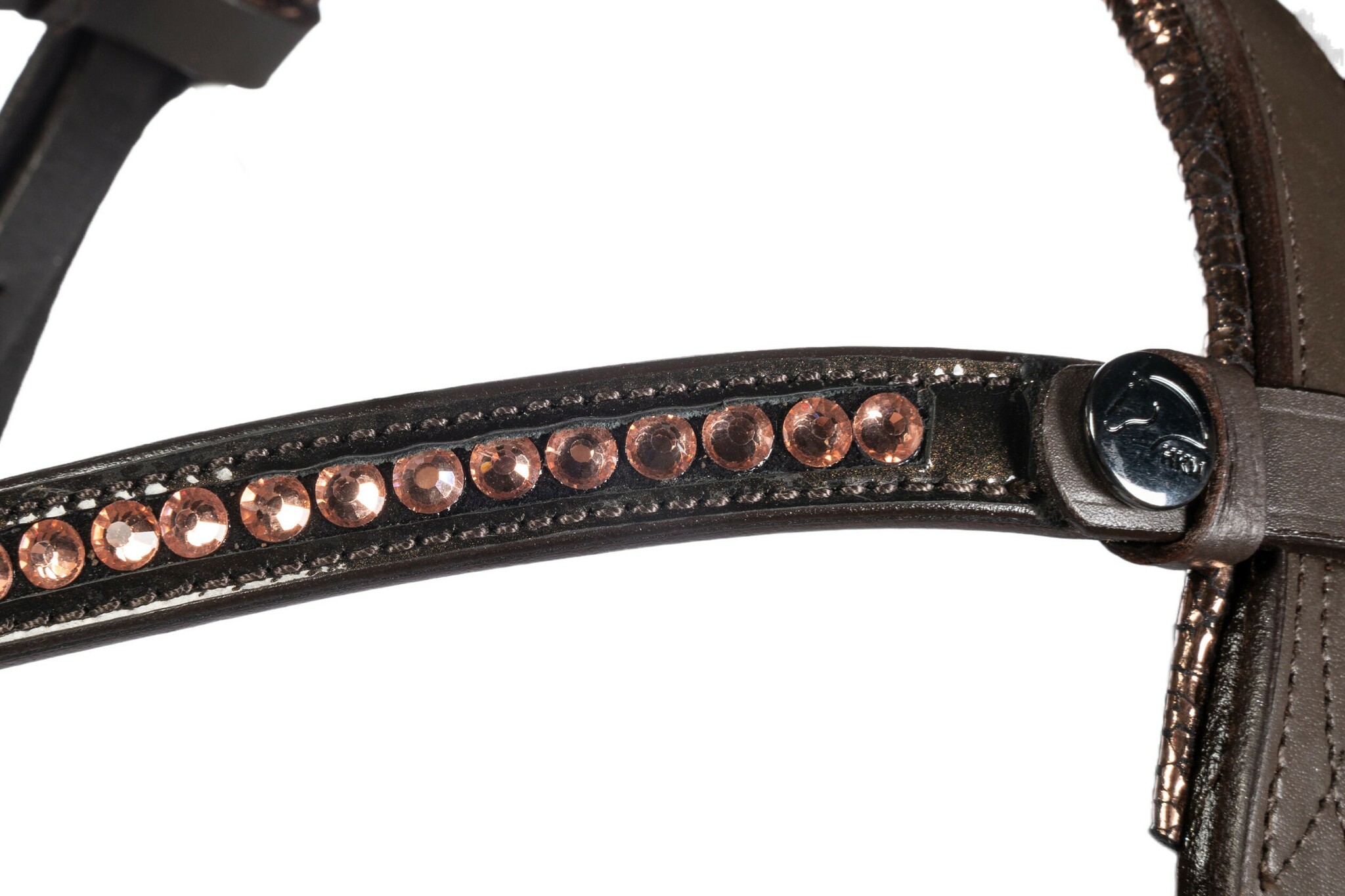 Aachenträns, ponny-full, HKM Sofia bild 6