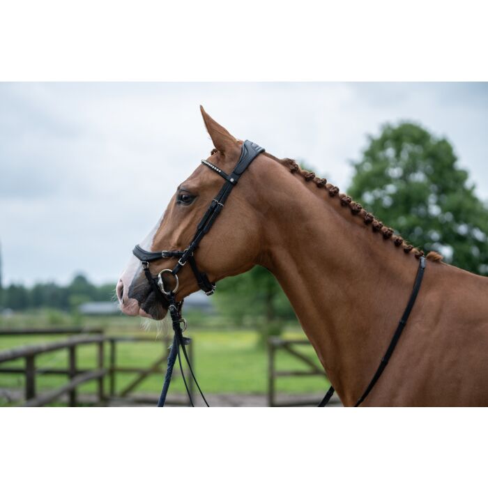 Träns, ponny-full, HKM Pro Anatomic bild 3