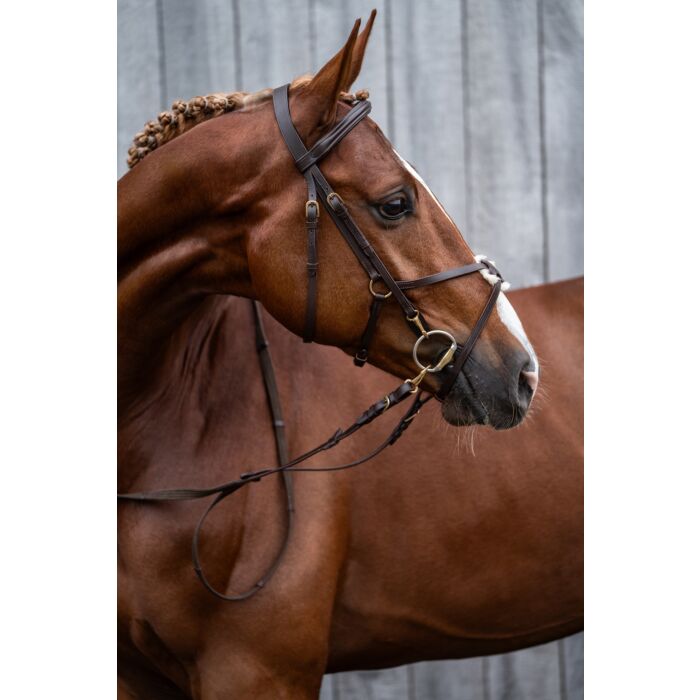 Pullarträns, ponny-full, HKM Mexican Style bild 4