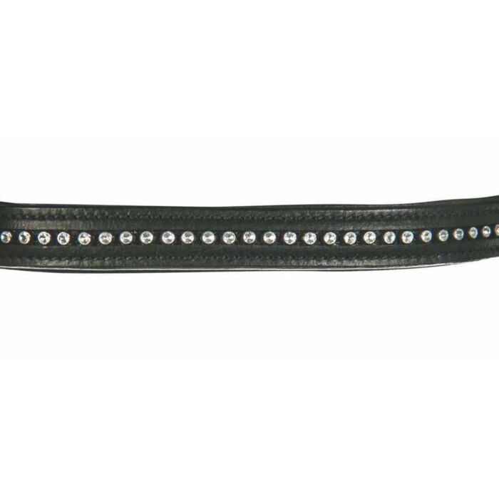 Aachenträns, ponny-full, HKM Economic bild 3