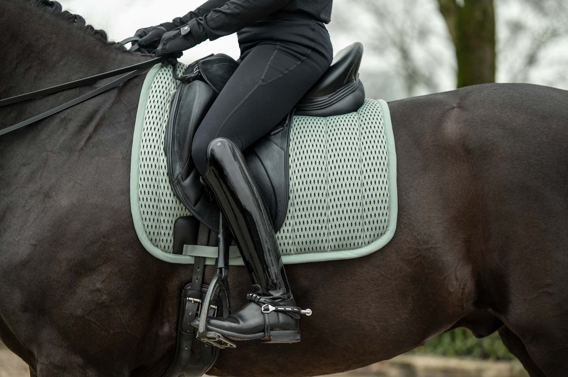 Schabrak, ponny-full, HKM Sportive bild 3