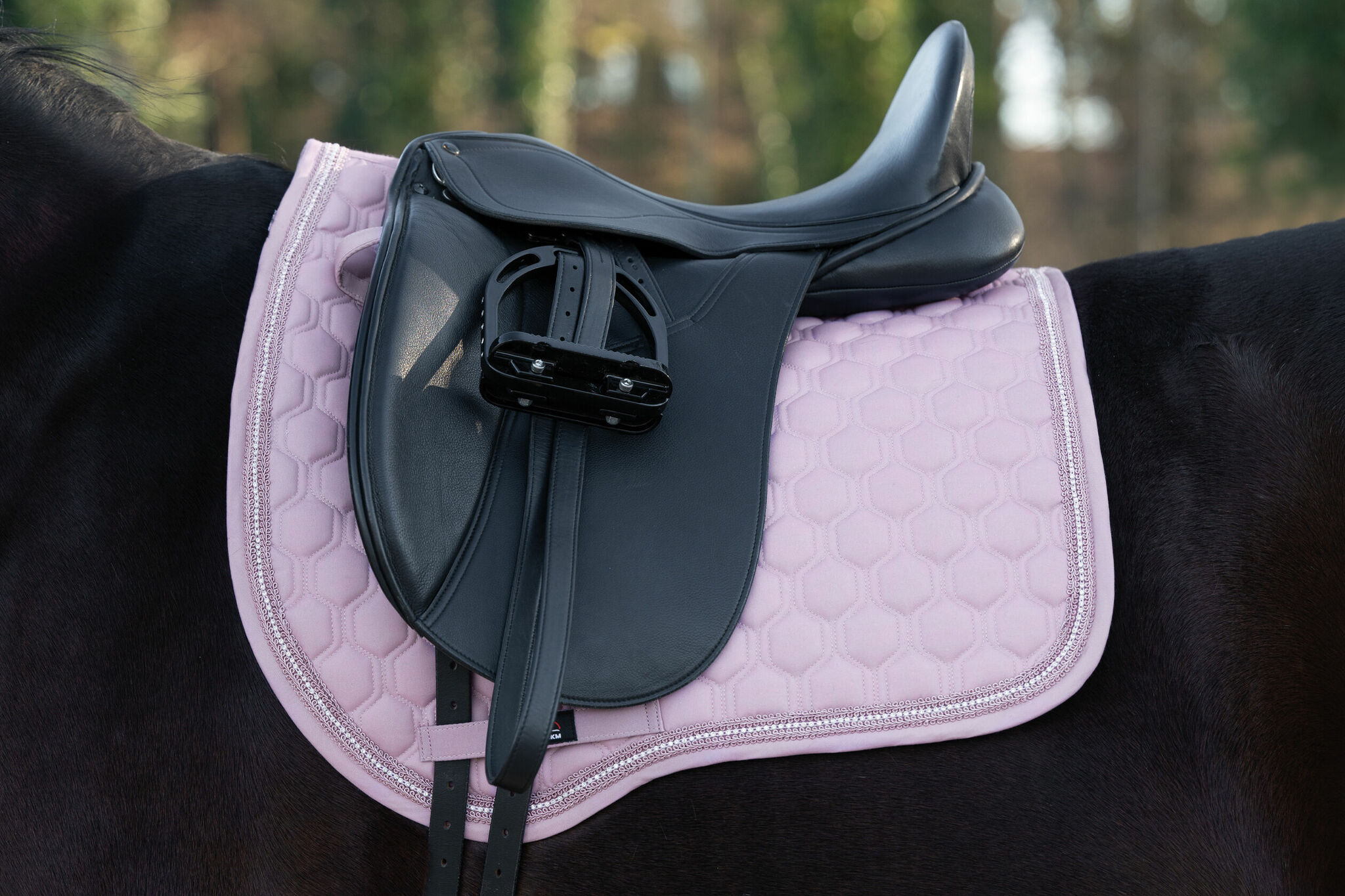 Schabrak, ponny-full, HKM Elisa bild 8