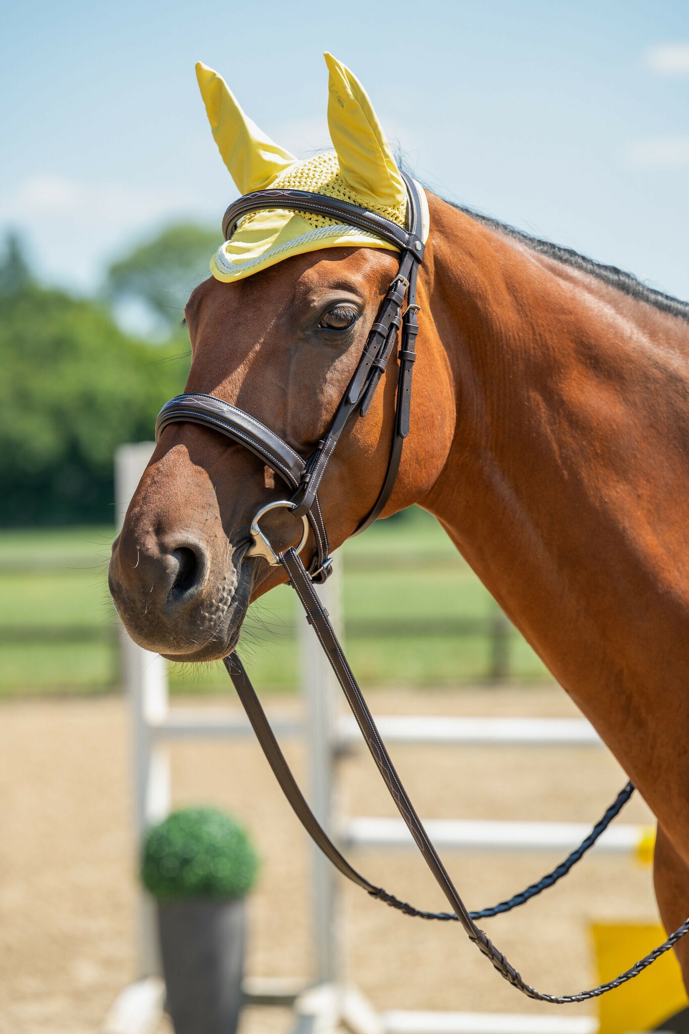 Huva, ponny-full, HKM Essentials bild 2