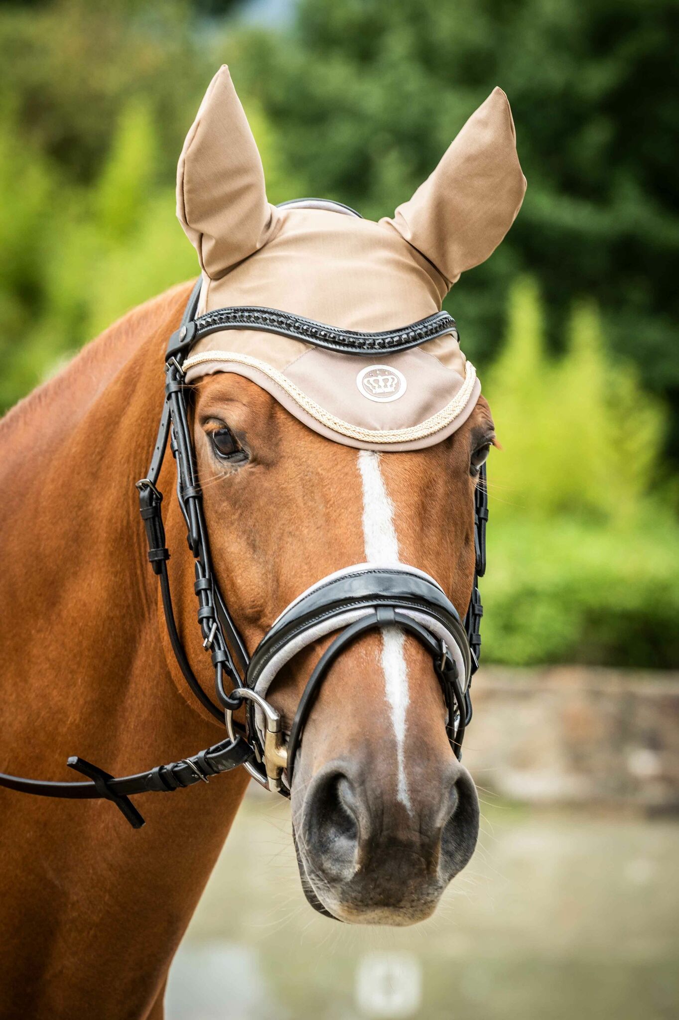 Huva, ponny-full, HKM Lavender Bay bild 2