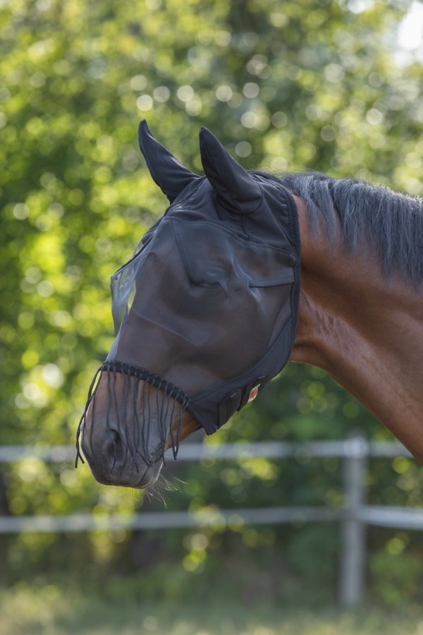 Flughuva, ponny-full, Kerbl