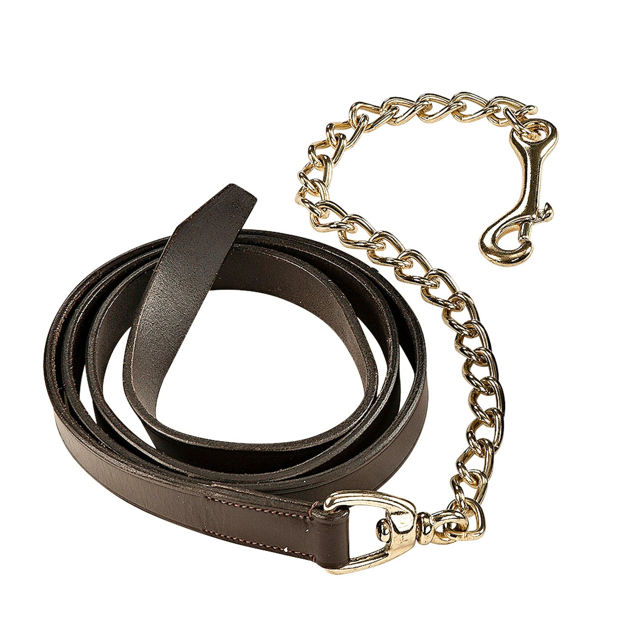 Kedjegrimskaft, Källquist bild 2