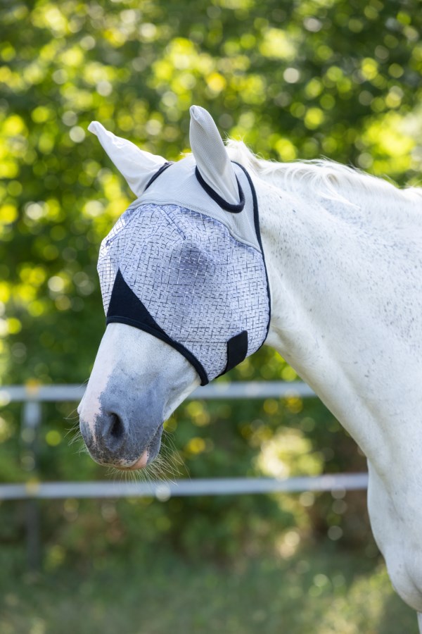 Flughuva, föl-xfull, Kerbl bild 2