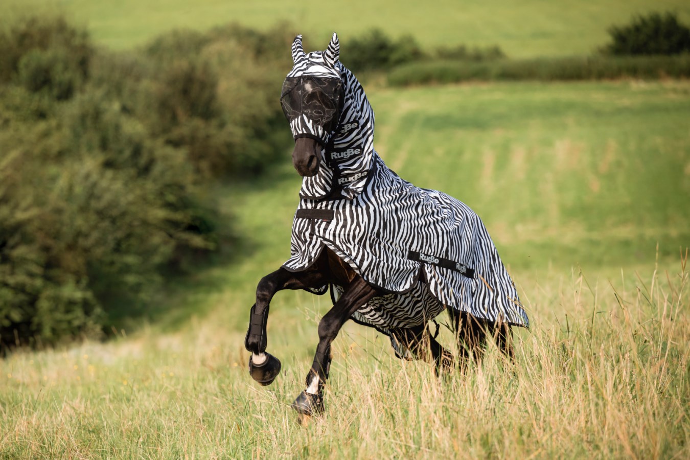 Flugtäcke, 125-165 cm, RugBe Zebra bild 6