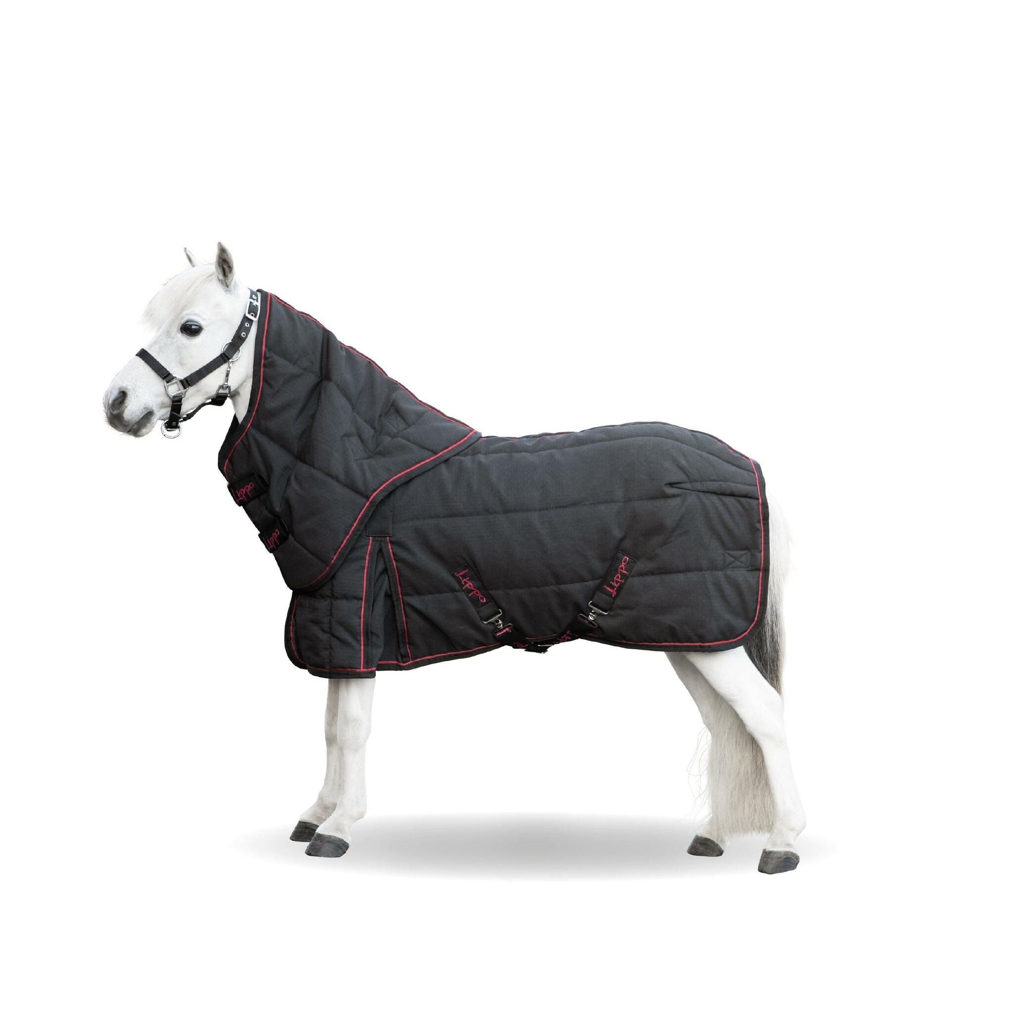 Stalltäcke, 65-75 cm, Lippo Supreme Plus Miniature