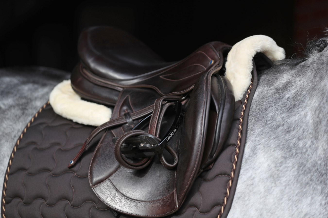 Sadelpad, ponny-full, Covalliero bild 3