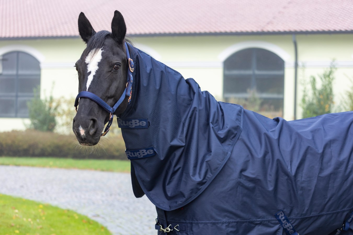 Hals, XS-L, Covalliero RugBe Zero bild 2