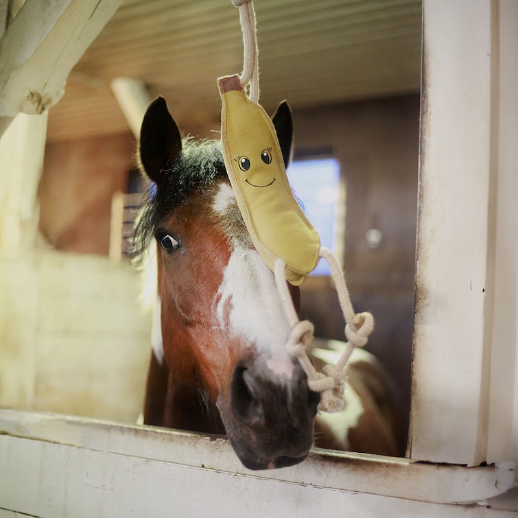 Hästleksak, Hansbo Sport bild 7
