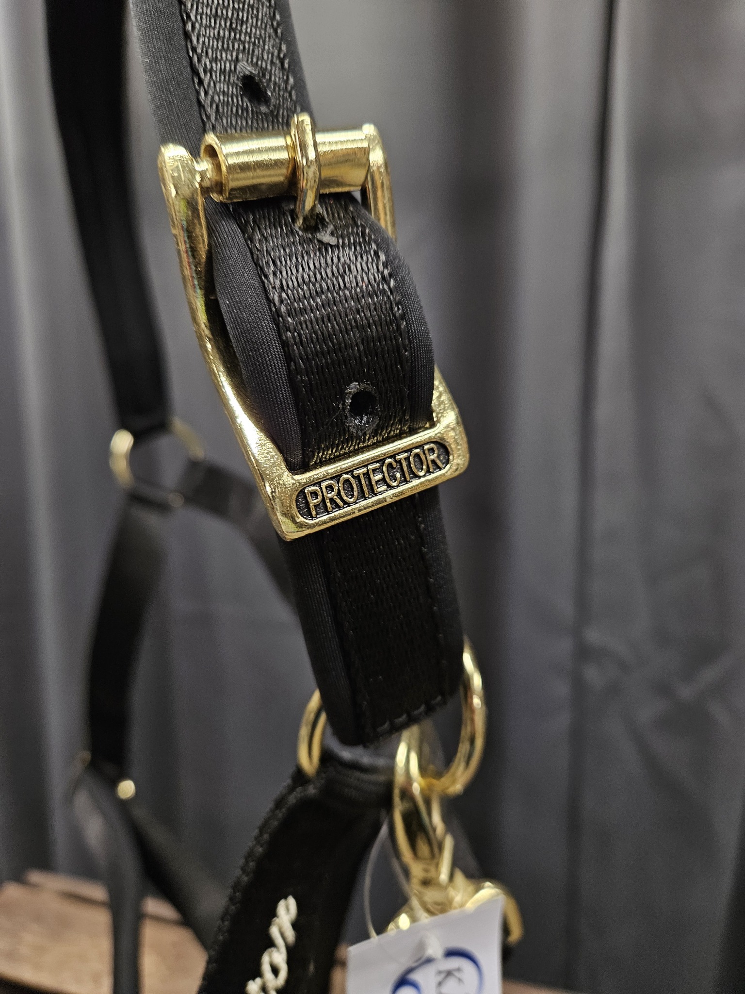 Nylongrimma, ponny-xfull, Protector Derry bild 10