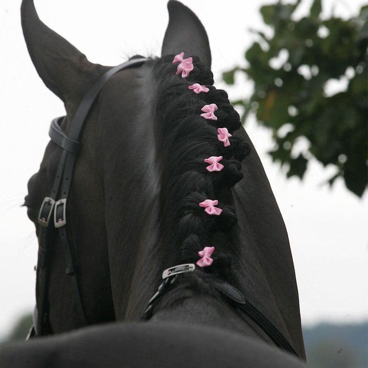 Manrosetter, Hansbo Sport bild 6