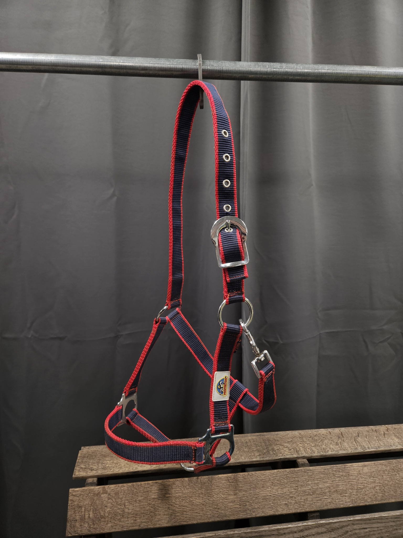 Nylongrimma, ponny, Protector