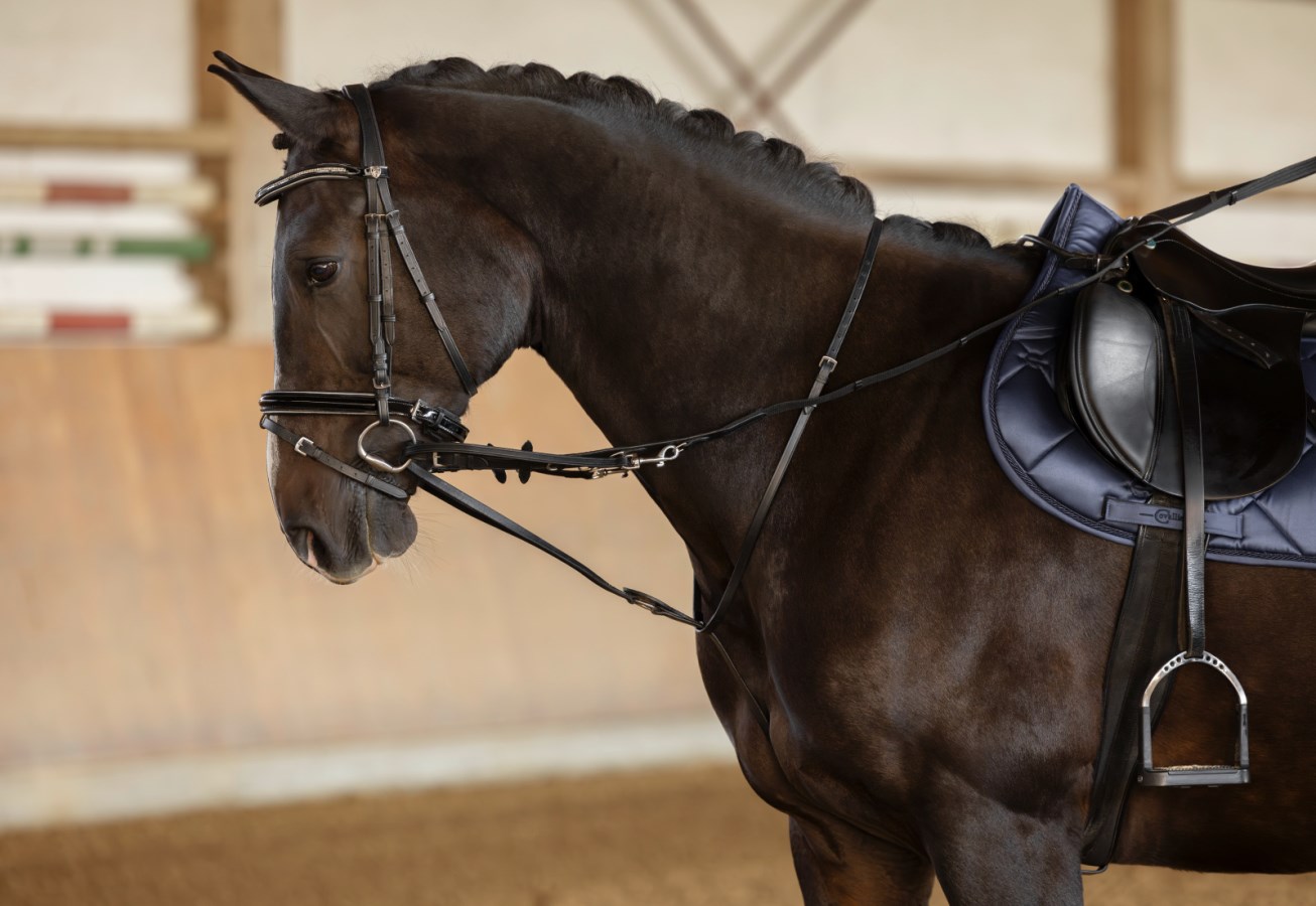 Thiedemanntygel, ponny-full, Covalliero bild 2