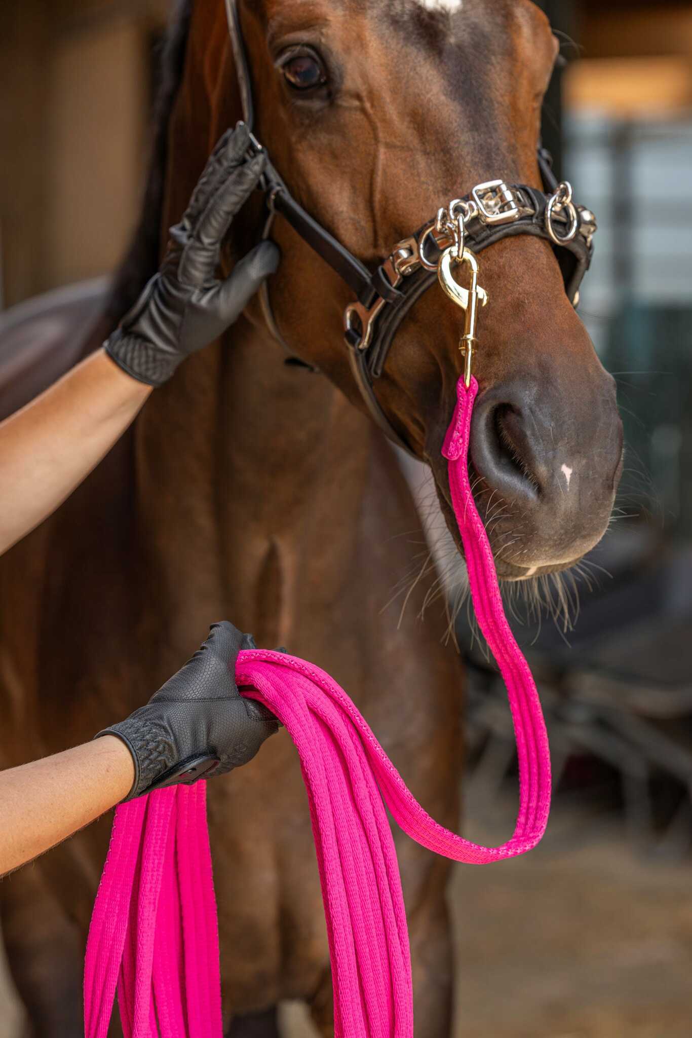 Longerlina, Covalliero Softlonge bild 5