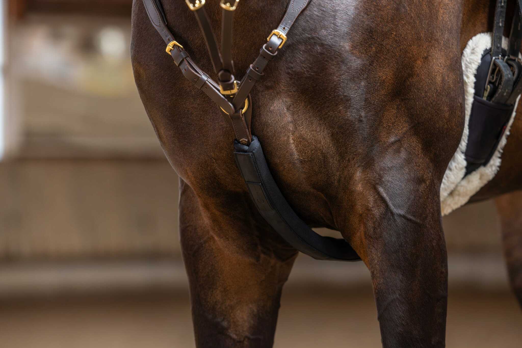 Martingalskydd, Covalliero bild 2