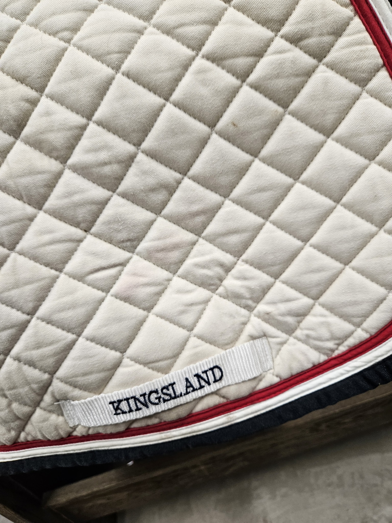 Schabrak, ponny, Kingsland bild 3