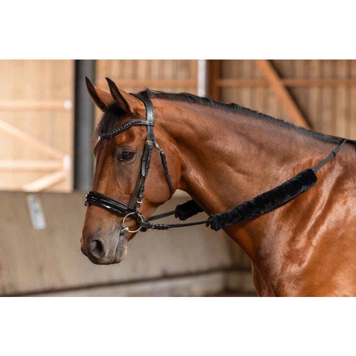 Tygelludd, Covalliero bild 2