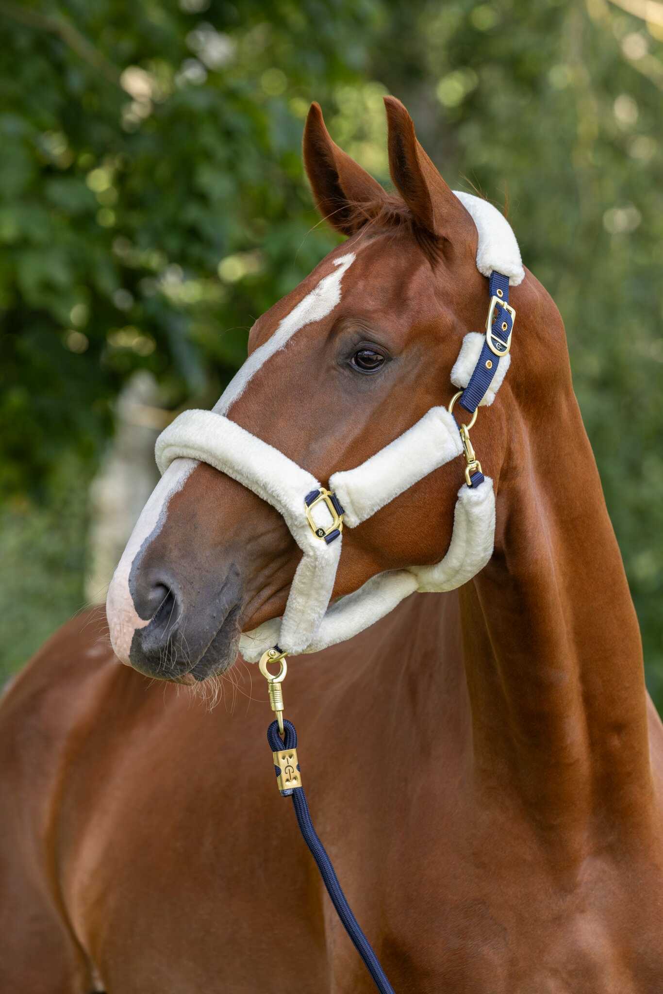 Luddgrimma, ponny-full, Covalliero SuperSoft 2.0 bild 5