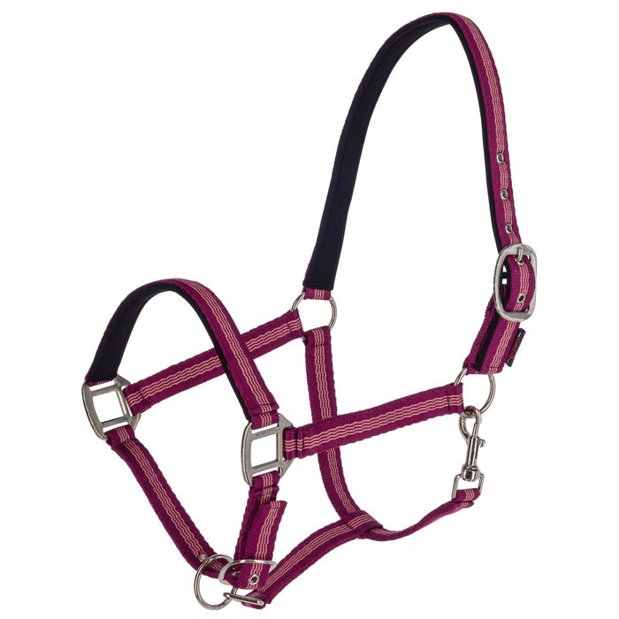 Nylongrimma, ponny-xxfull, Covalliero Mustang bild 3