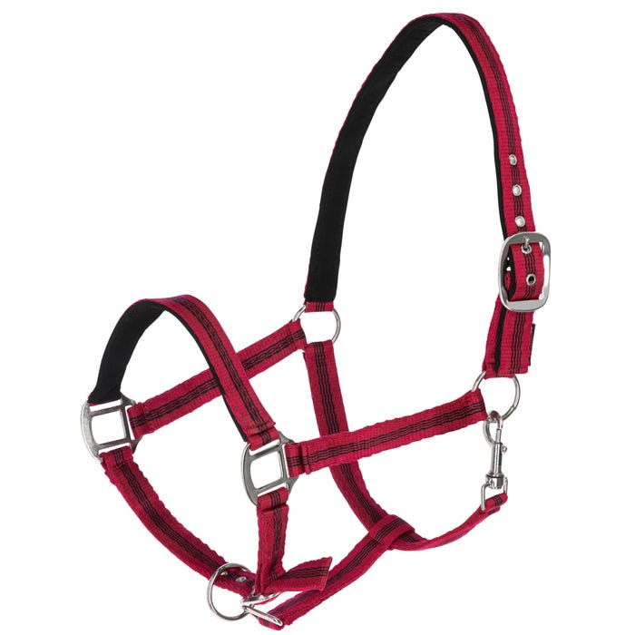 Nylongrimma, ponny-xxfull, Covalliero Mustang bild 4