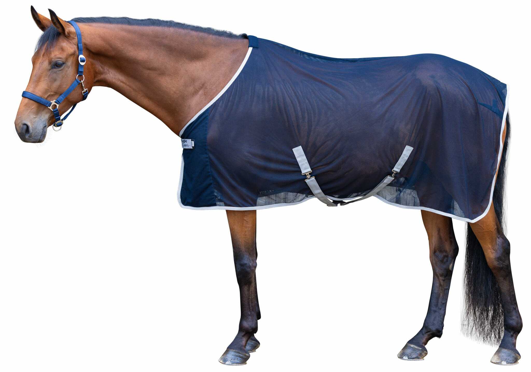 Flugtäcke, 125-165 cm, Covalliero RugBe bild 2