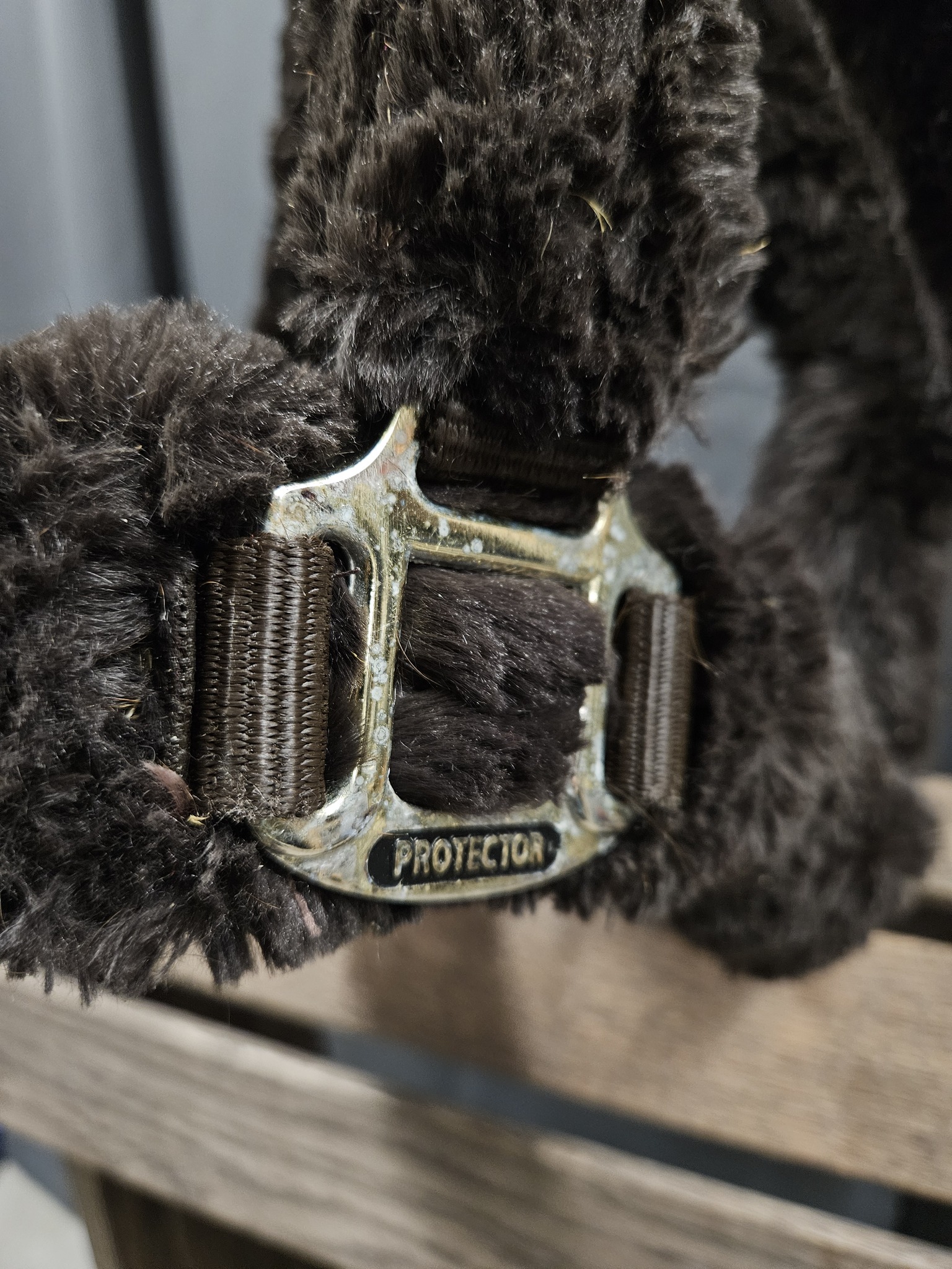 Luddgrimma, XF, Protector bild 2