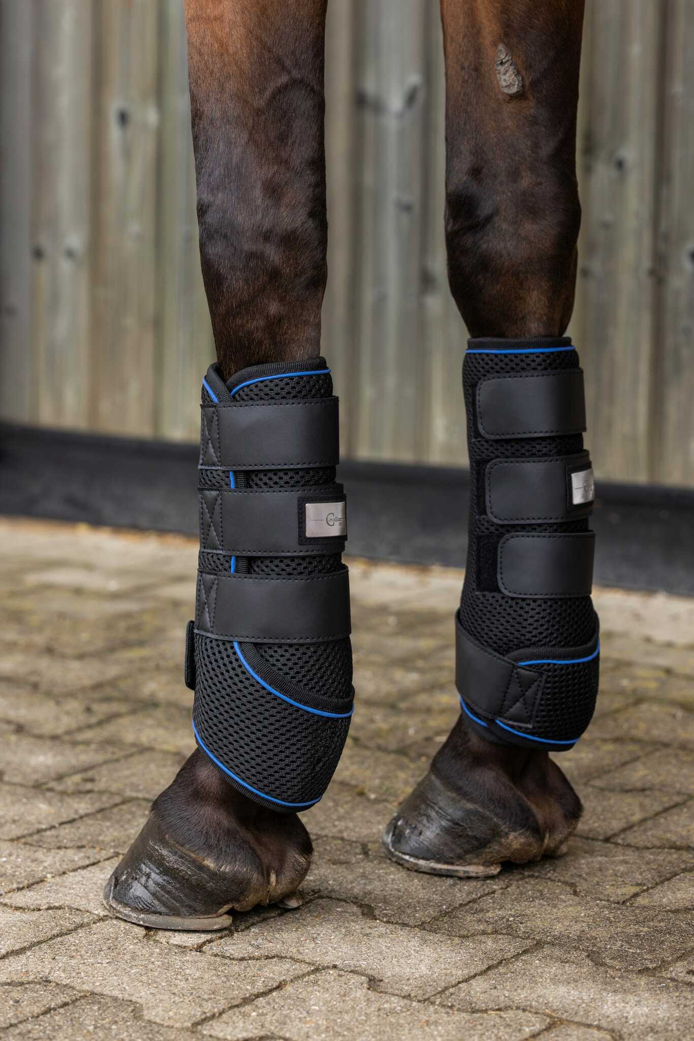 Kyldamasker, ponny-full, Covalliero CovallieroCool bild 3