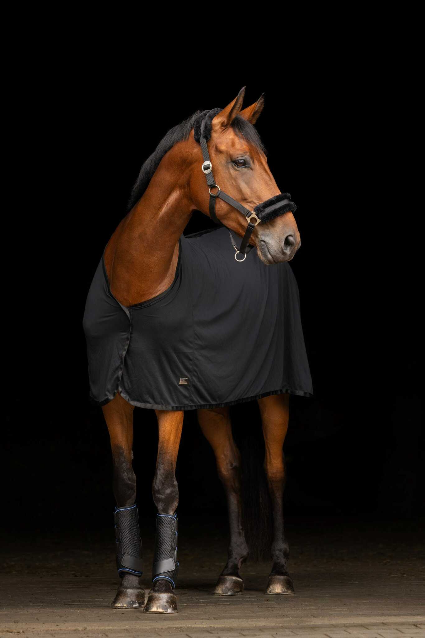 Kyldamasker, ponny-full, Covalliero CovallieroCool bild 4