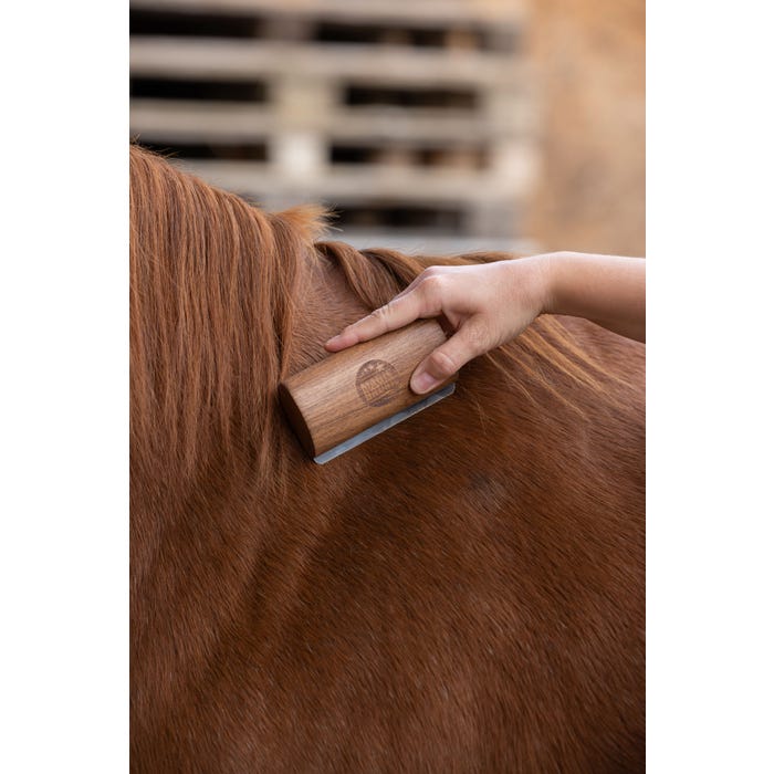 Pälsskrapa, Magic Brush Fellboy bild 2