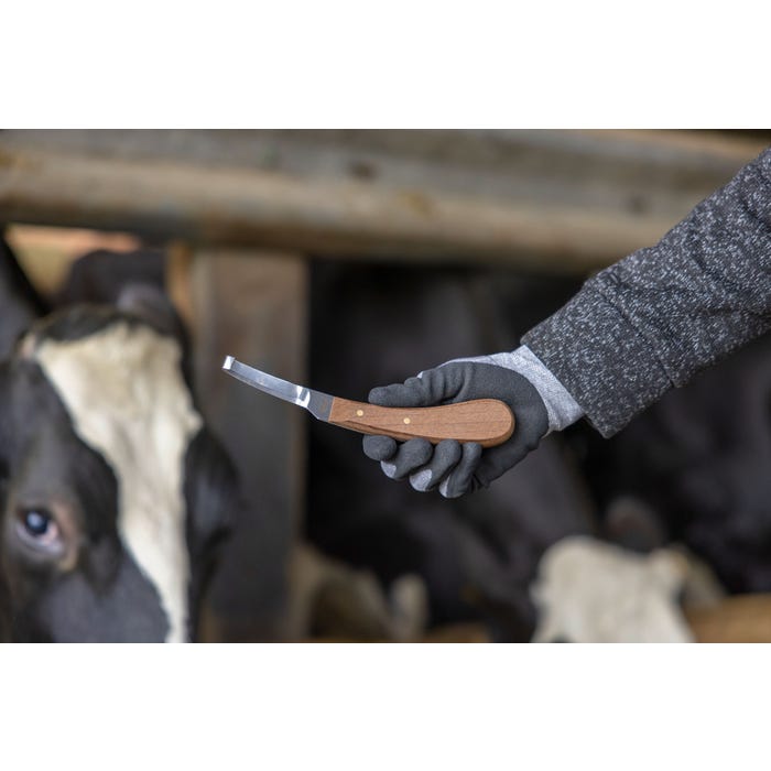 Hovkniv, Aesculap bild 3