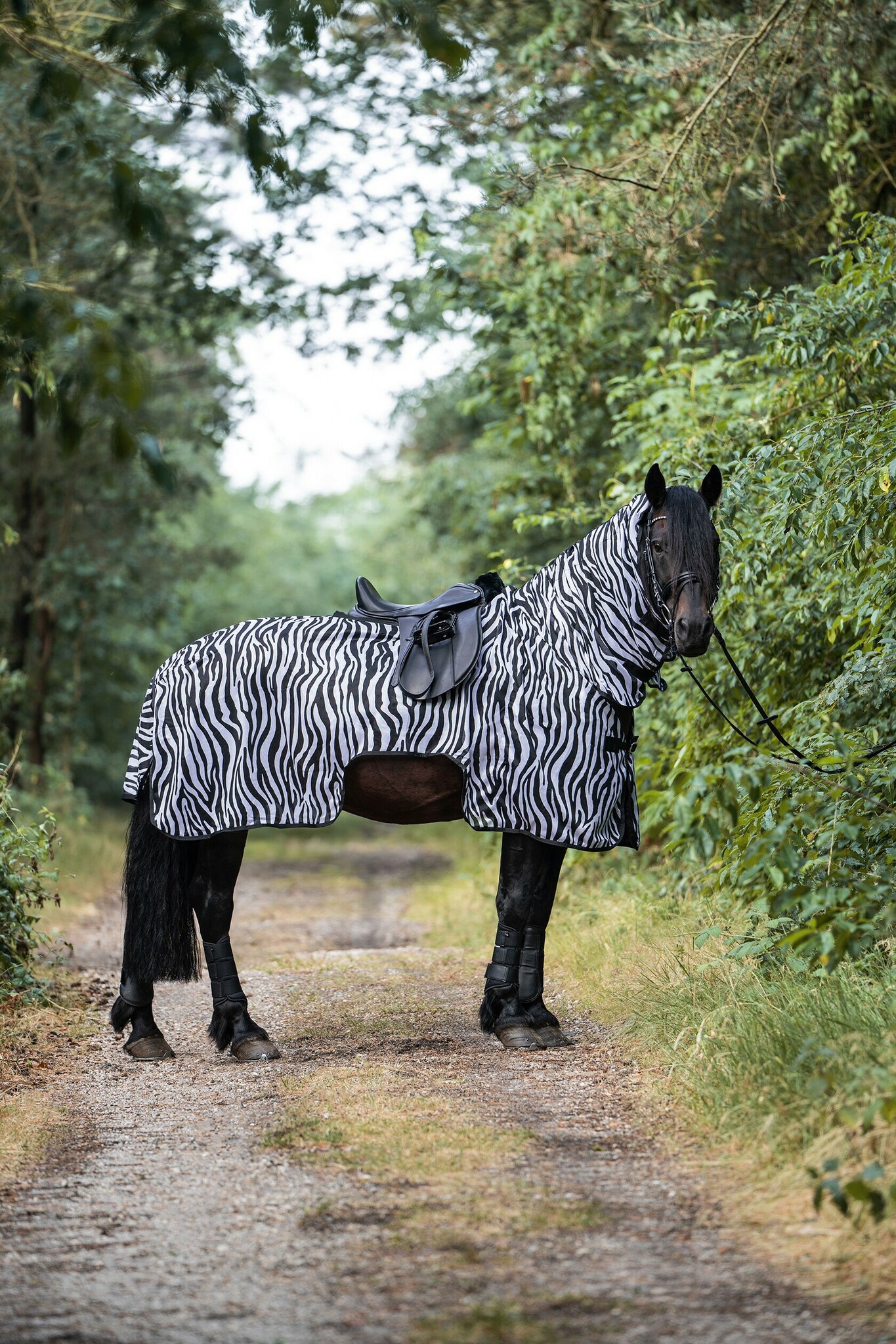 Ridflugtäcke, 95-165 cm, HKM Zebra bild 2