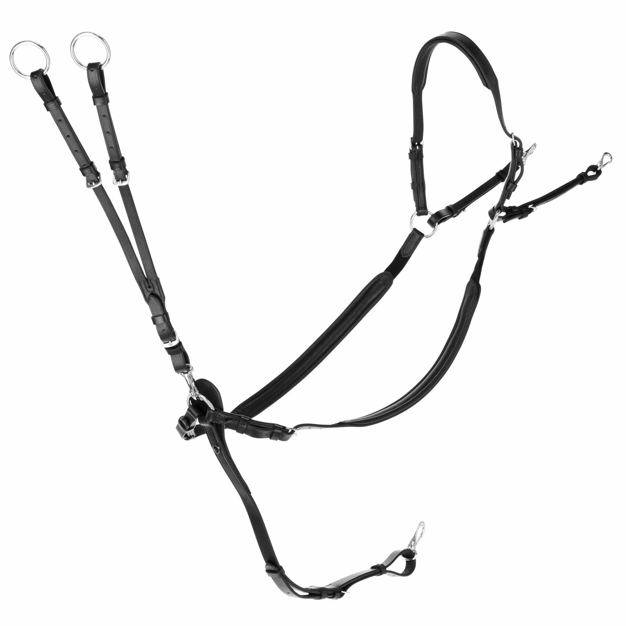 Förbygel, cob-full, Covalliero bild 2