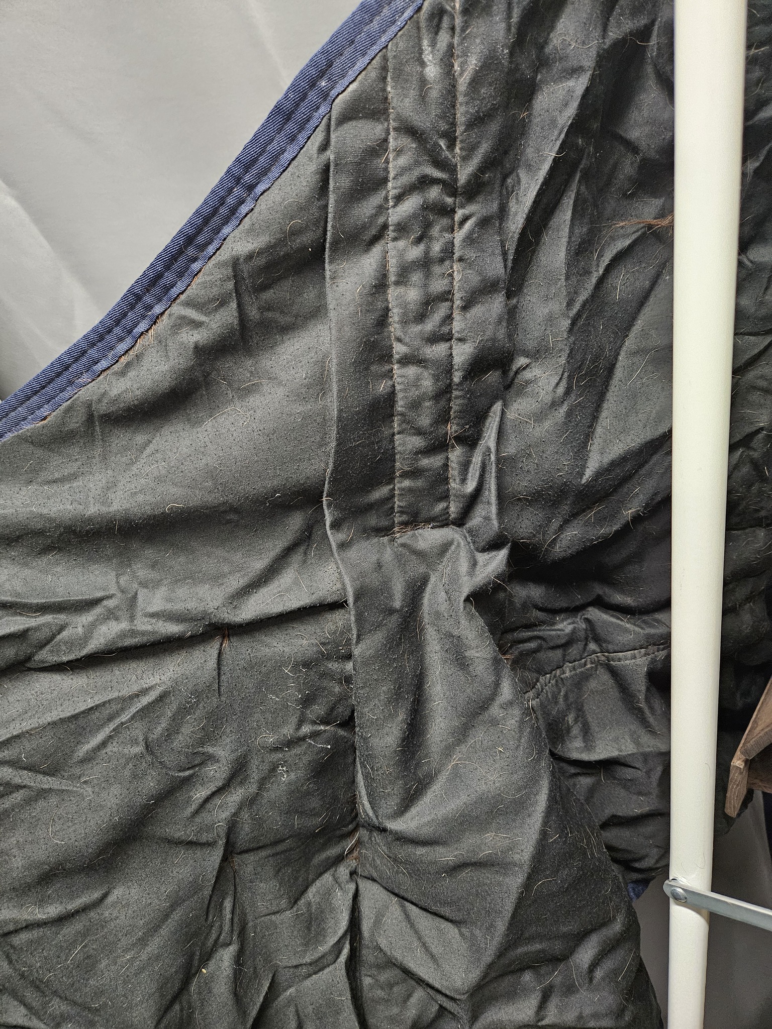 Vintertäcke, 165 cm, Kavalkade bild 3