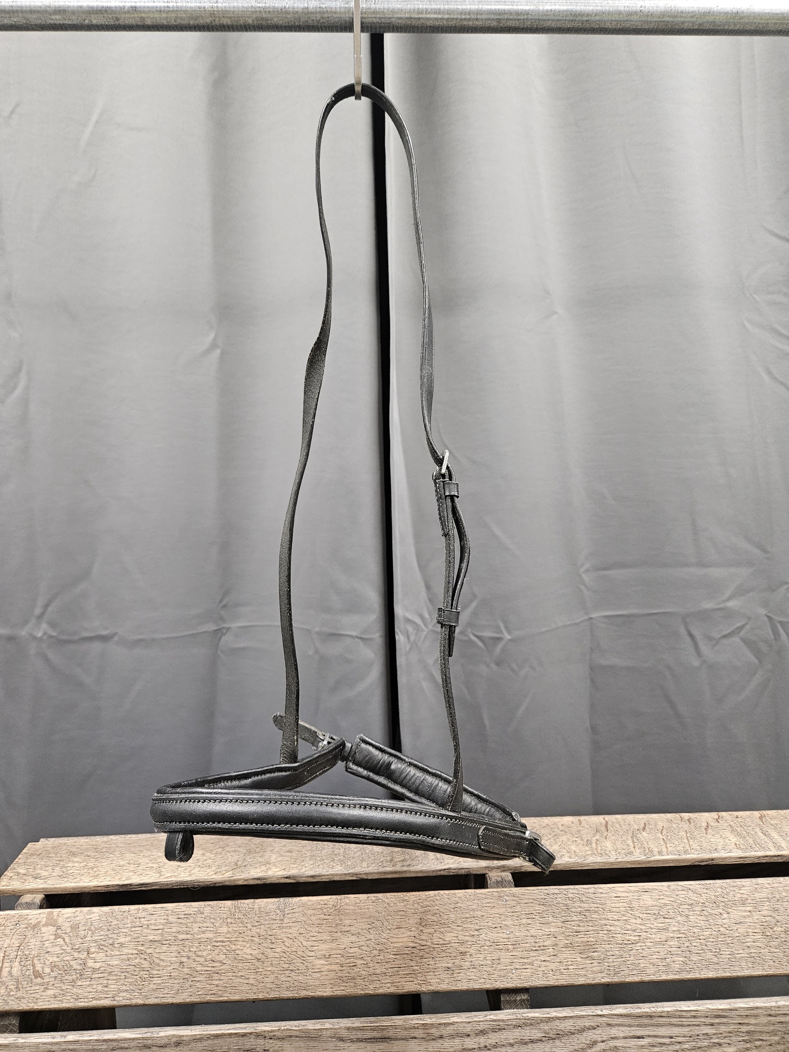 Aachennosgrimma, full