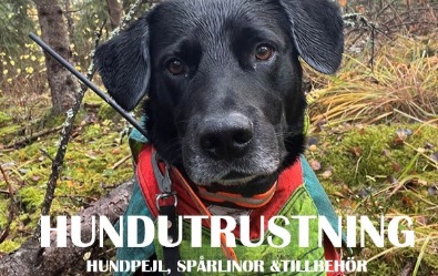 Utrustning till hunden