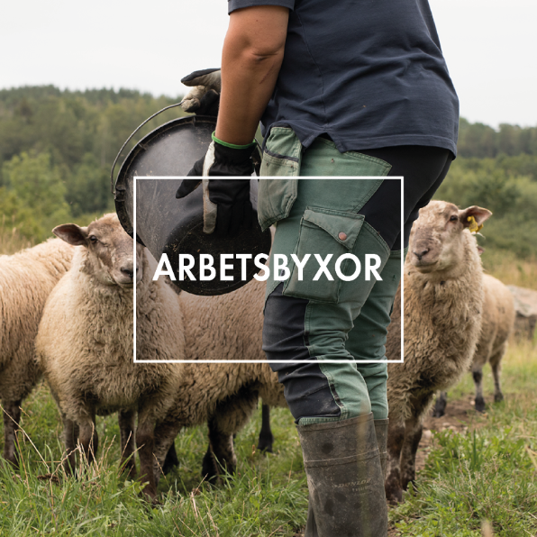 Kvinna iklädd ett par gröna arbetsbyxor, bild på henne bakifrån matandes får i en fårhage..