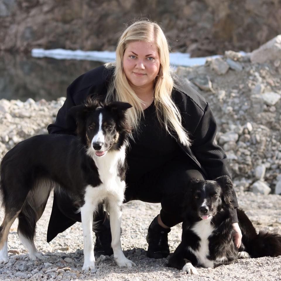 TEAMET - Pitehundsim