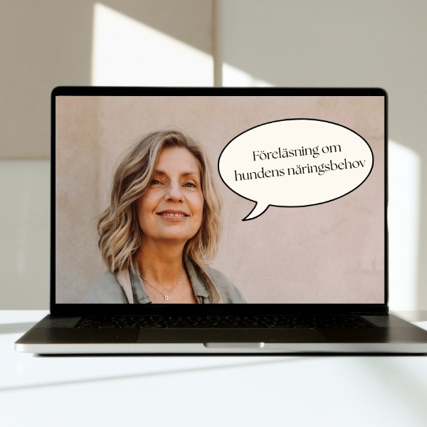 Boka föreläsning om hundens näringsbehov