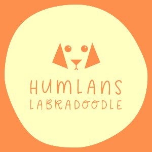 Humlans Labradoodle