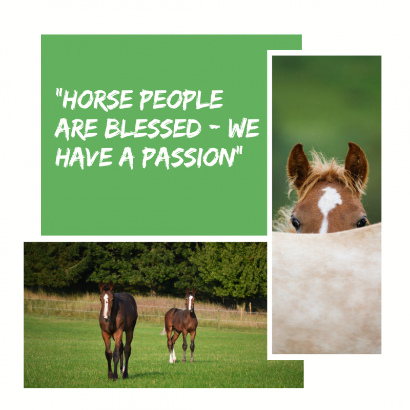 Horse people are Blessed - We have a Passion