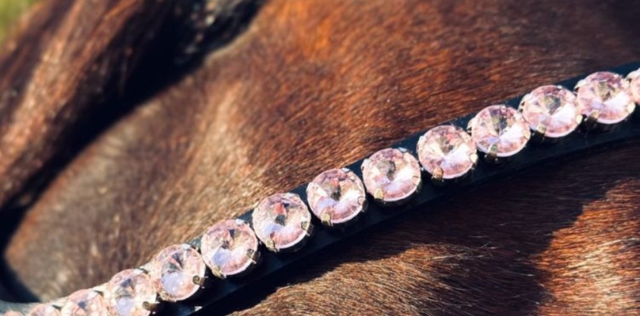 rosa pannband på brun häst