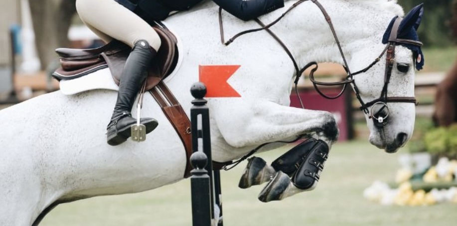 skimmel som hoppar hinder